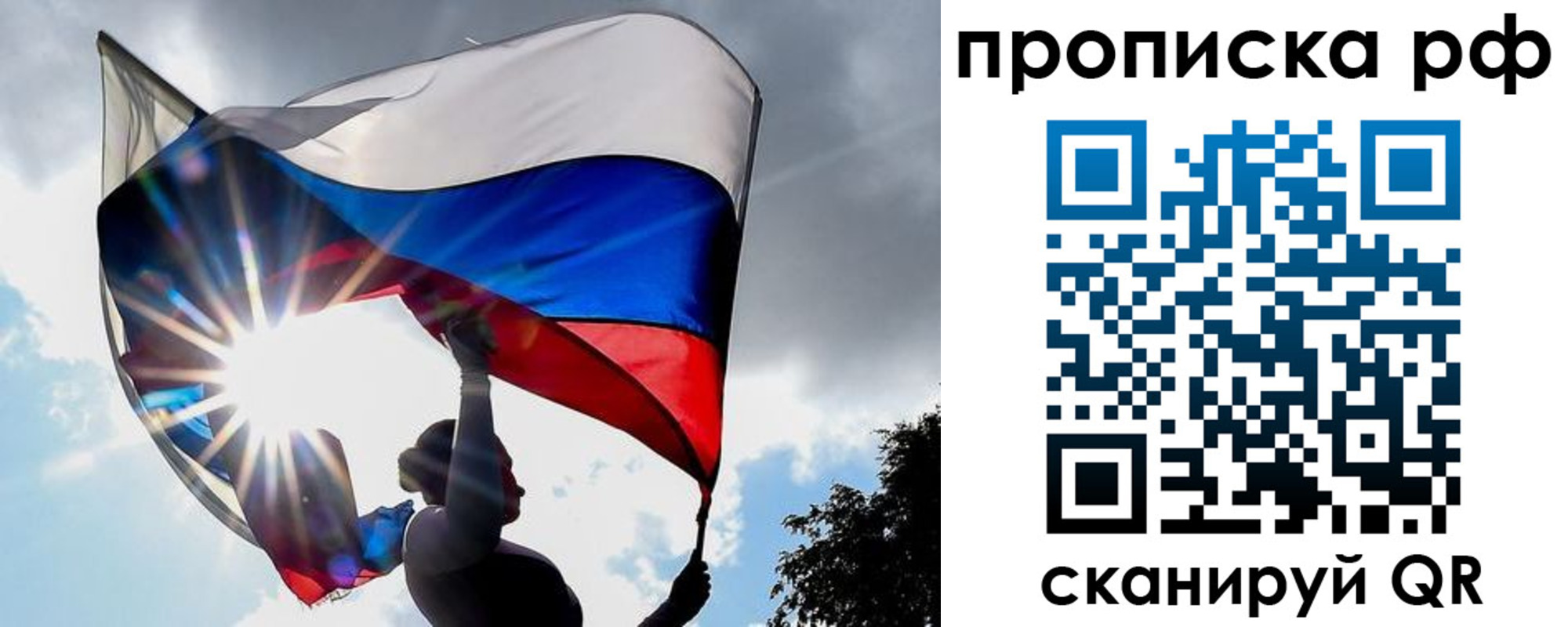 прописка для школы в Щиграх